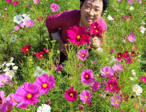 [성도 소개] 김삼례 자매님을 소개합니다.