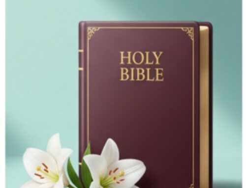 [우리의 믿음2] 믿음의 근거 : 성경