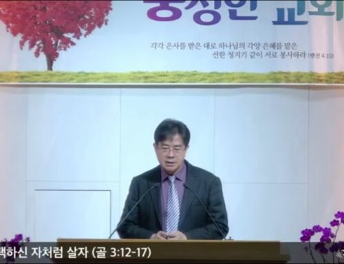 [복음메시지] 하나님의 택하신 자처럼 살자(골 3:12-17)