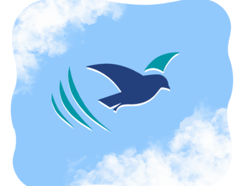 [우리의 믿음3] 믿음의 장소 : 교회