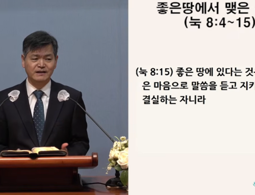 [복음 메시지] 좋은 땅에서 맺은 결실 (눅 8:4-15)