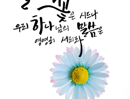 [신앙의 향기] 캘리그라피_박은우 형제