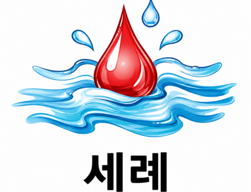 [우리의 믿음4] 세례에 관한 믿음